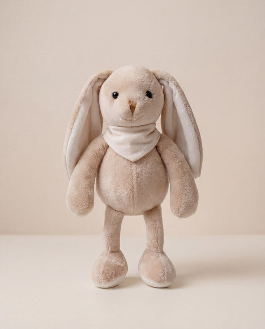 Snuggly Sleeper Bunny